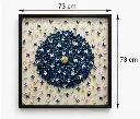 butterfly-bloom-size.webp
