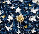 butterfly-bloom-detail.webp